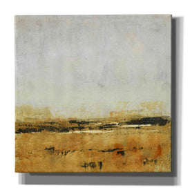 'Gold Horizon I' by Tim O'Toole, Canvas Wall Art