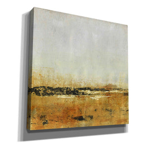 'Gold Horizon II' by Tim O'Toole, Canvas Wall Art