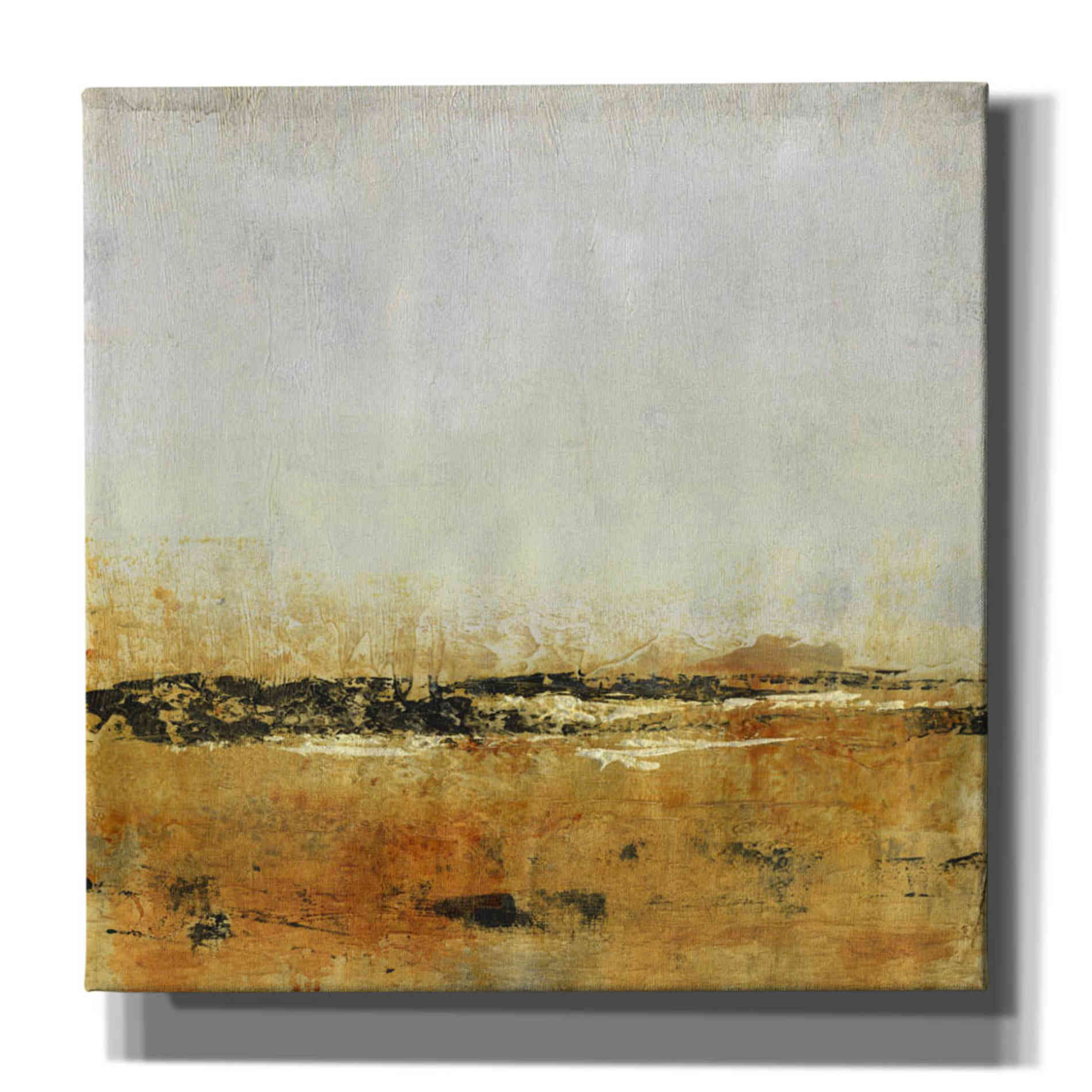 'Gold Horizon II' by Tim O'Toole, Canvas Wall Art