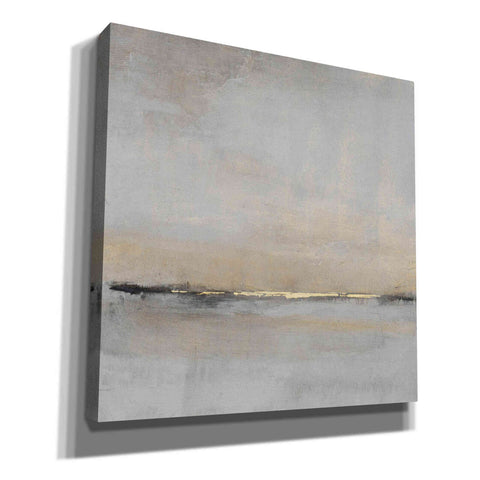 Image of 'Horizontal Flow II' by Tim O'Toole, Canvas Wall Art