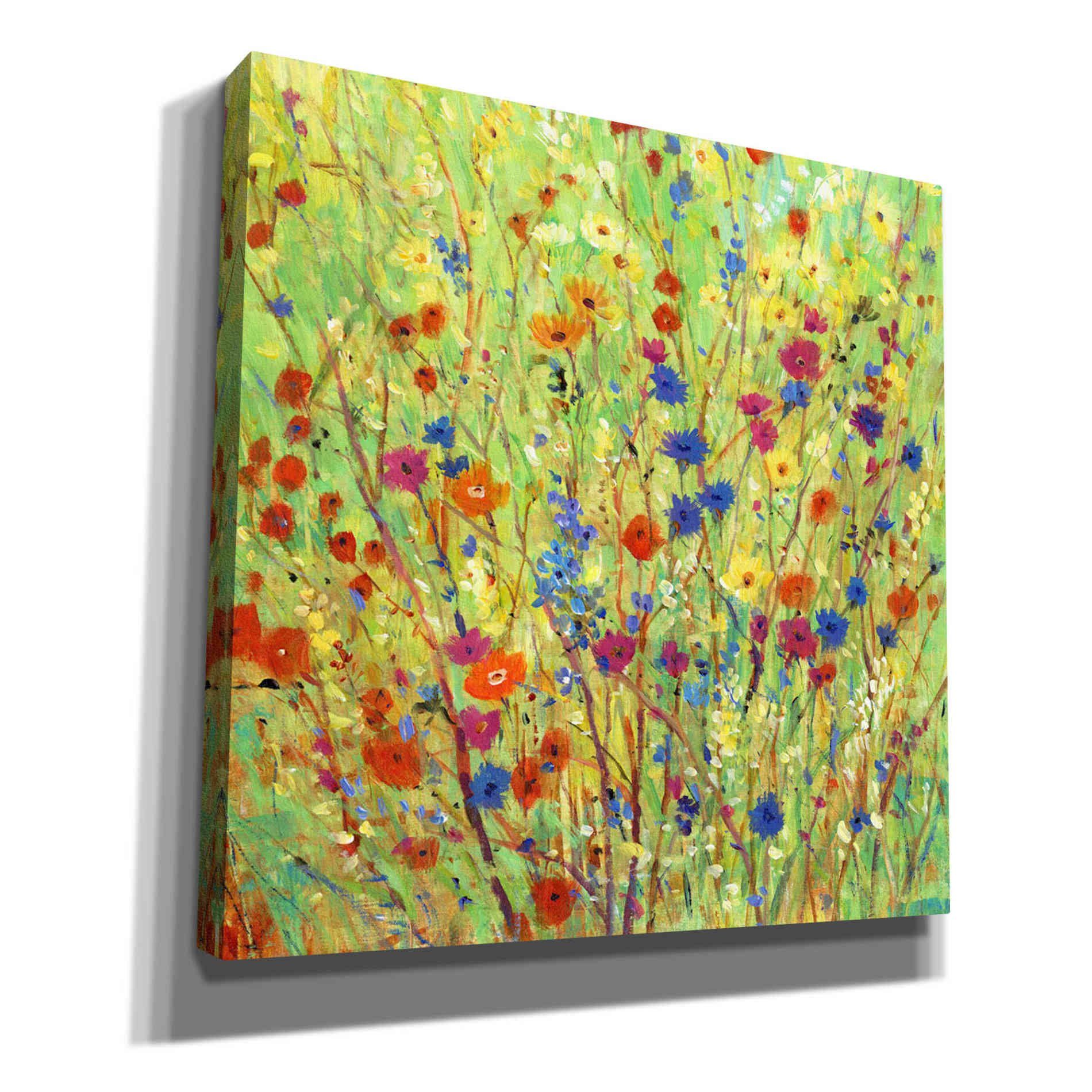 'Wildflower Patch II' by Tim O'Toole, Canvas Wall Art