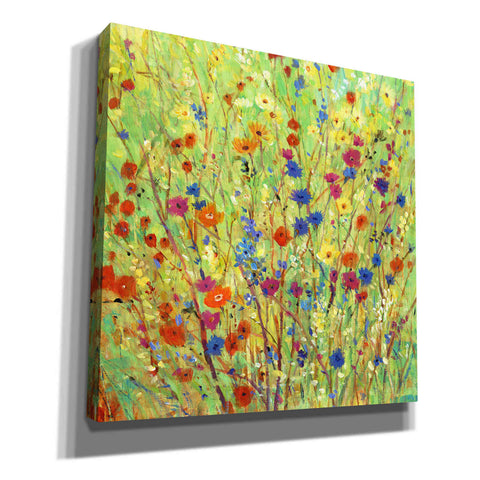 Image of 'Wildflower Patch II' by Tim O'Toole, Canvas Wall Art