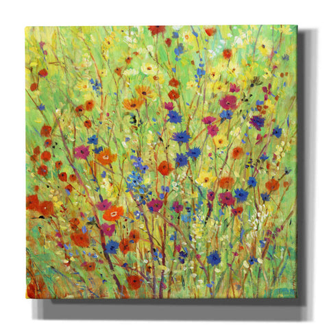 Image of 'Wildflower Patch II' by Tim O'Toole, Canvas Wall Art