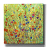 'Wildflower Patch II' by Tim O'Toole, Canvas Wall Art