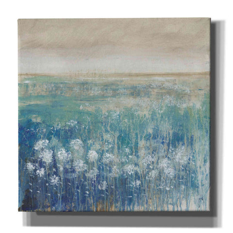 Image of 'Before the Rain II' by Tim O'Toole, Canvas Wall Art