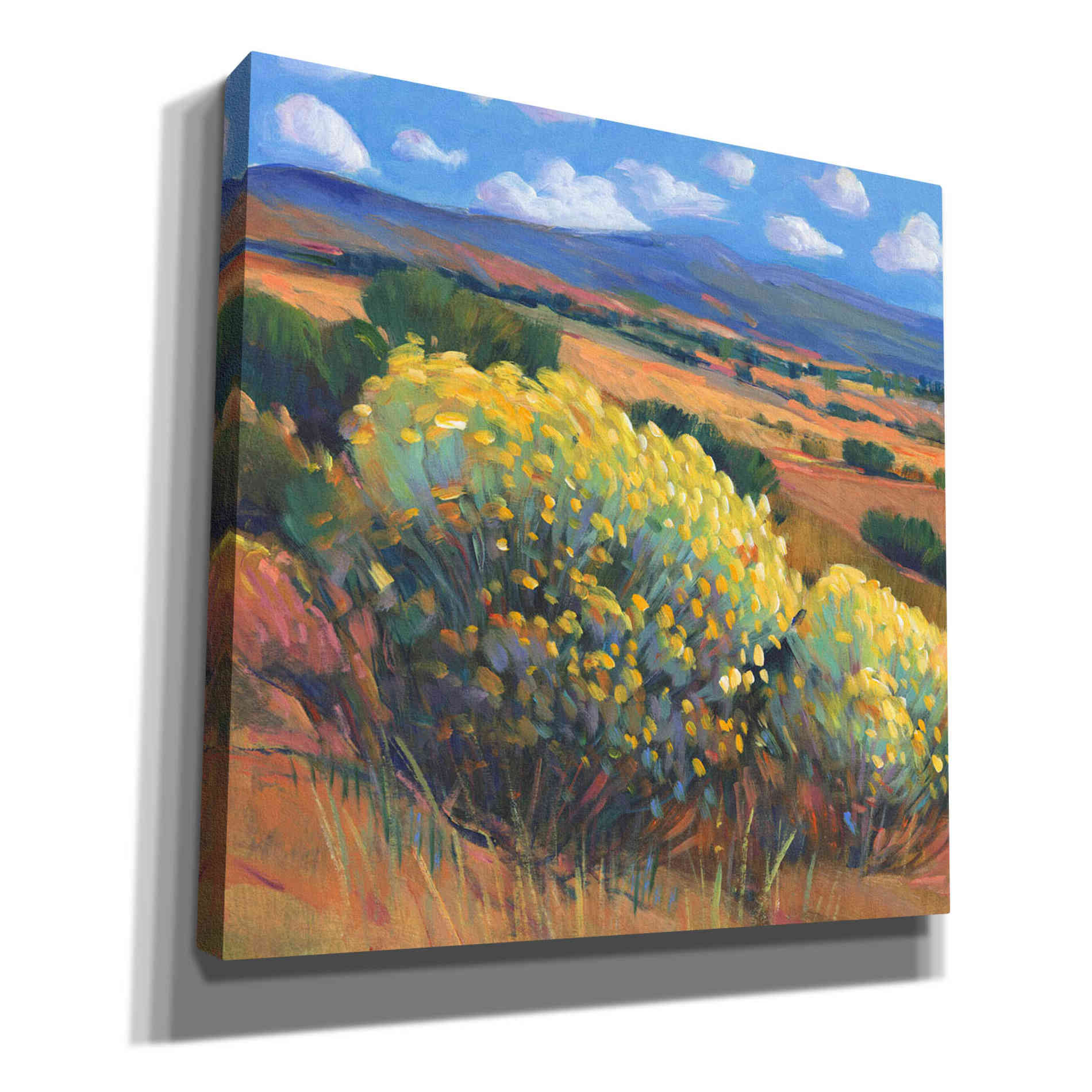 'Chamisa I' by Tim O'Toole, Canvas Wall Art