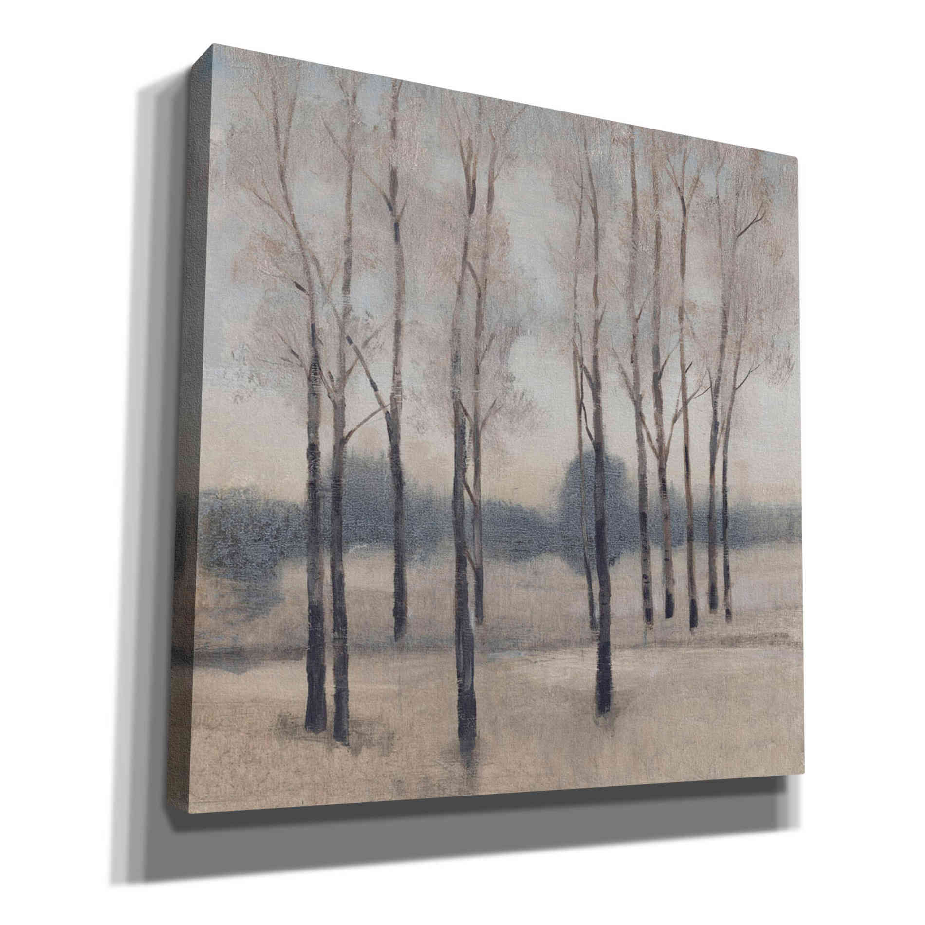 'Soft Light I' by Tim O'Toole, Canvas Wall Art
