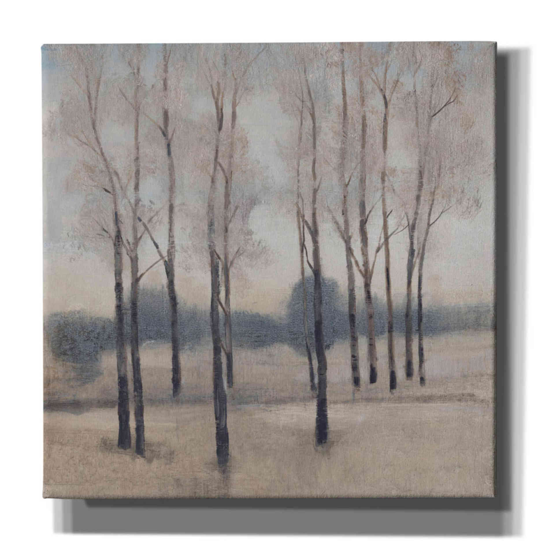 'Soft Light I' by Tim O'Toole, Canvas Wall Art