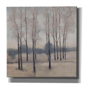 'Soft Light I' by Tim O'Toole, Canvas Wall Art