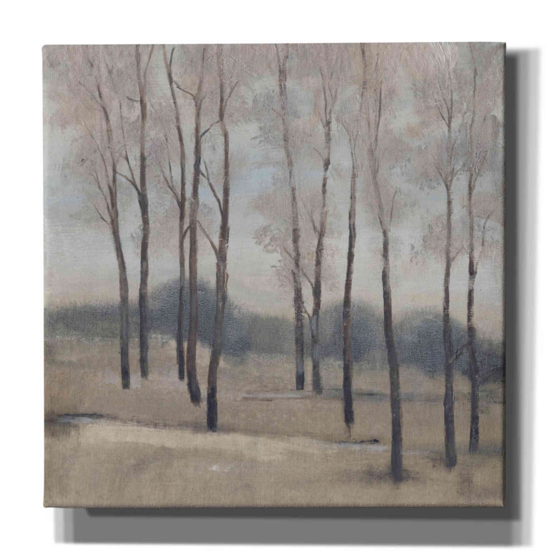 'Soft Light II' by Tim O'Toole, Canvas Wall Art