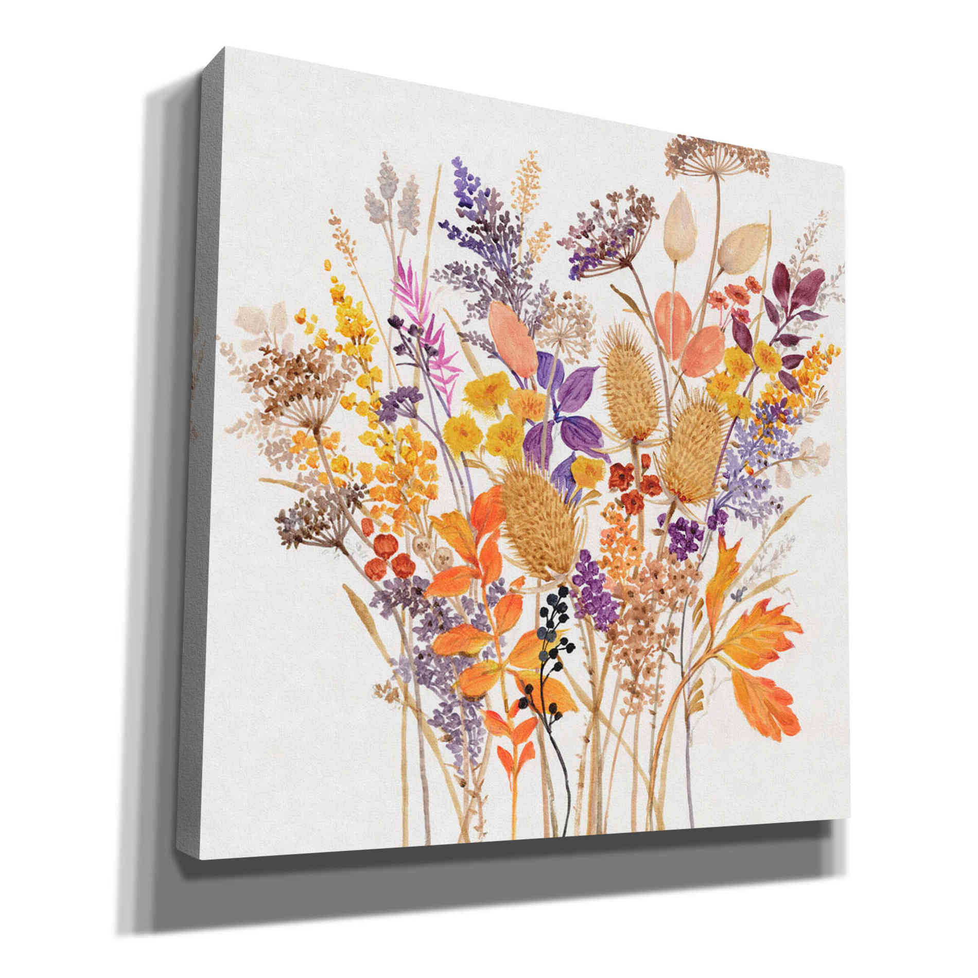 'Dried Arrangement I' by Tim O'Toole, Canvas Wall Art