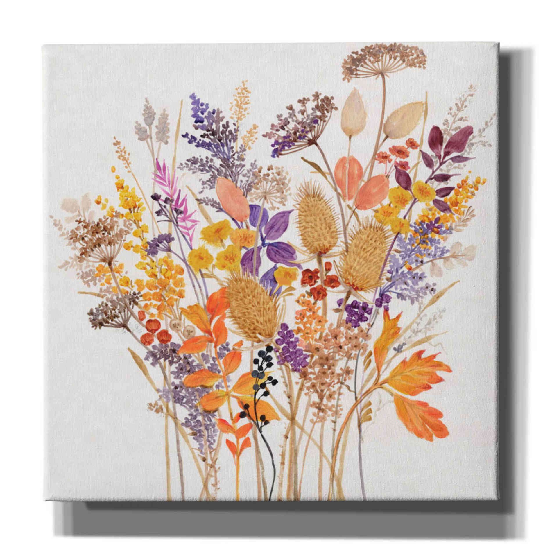'Dried Arrangement I' by Tim O'Toole, Canvas Wall Art