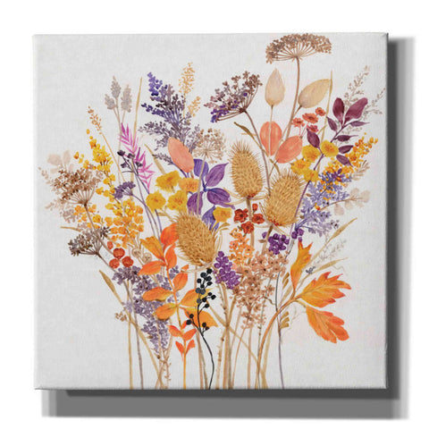 Image of 'Dried Arrangement I' by Tim O'Toole, Canvas Wall Art