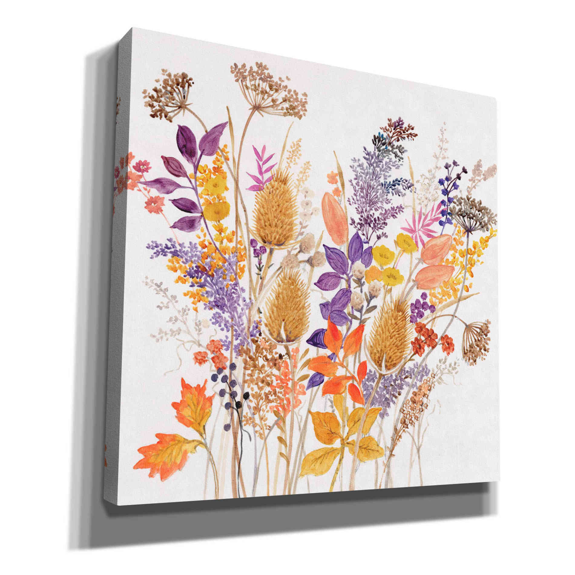 'Dried Arrangement II' by Tim O'Toole, Canvas Wall Art