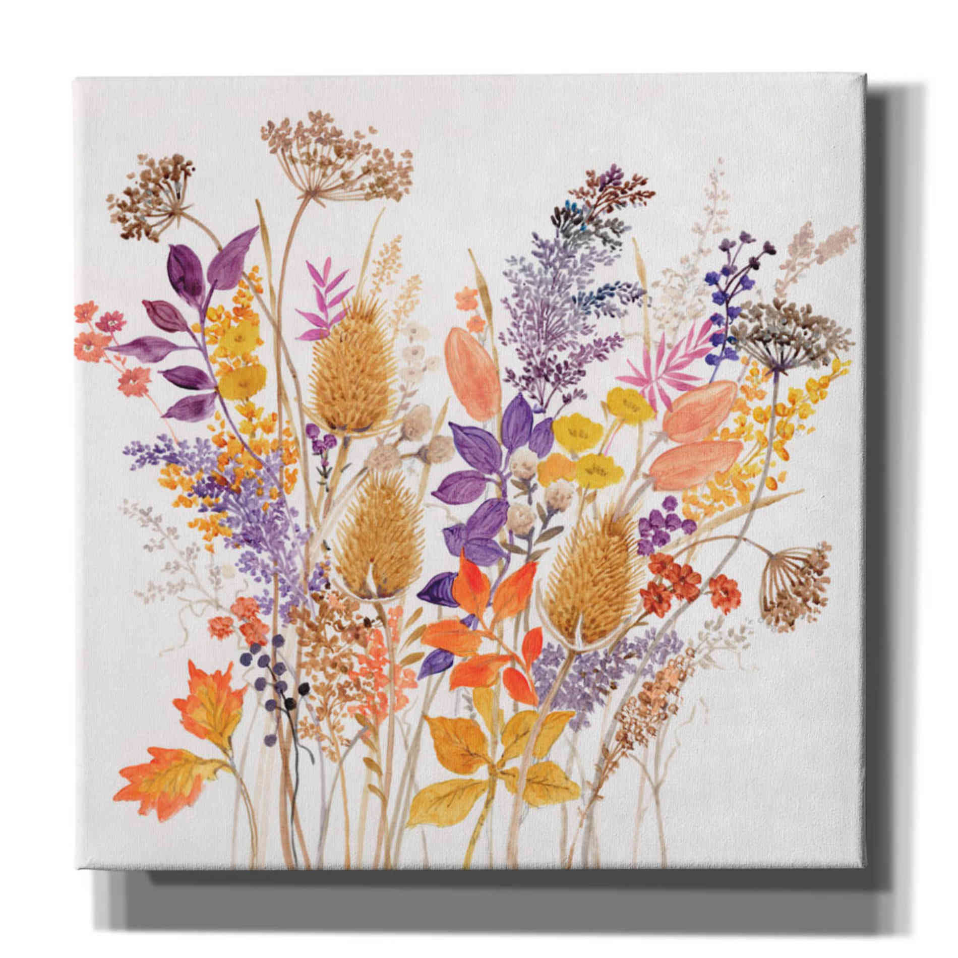 'Dried Arrangement II' by Tim O'Toole, Canvas Wall Art