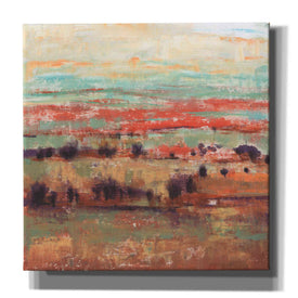 'Divided Landscape I' by Tim O'Toole, Canvas Wall Art