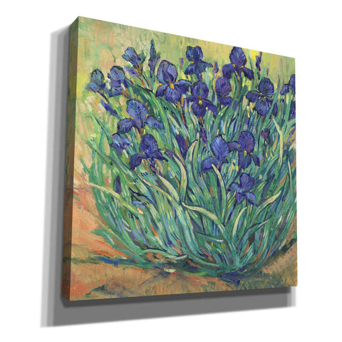 Image of 'Irises in Bloom I' by Tim O'Toole, Canvas Wall Art