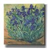 'Irises in Bloom I' by Tim O'Toole, Canvas Wall Art