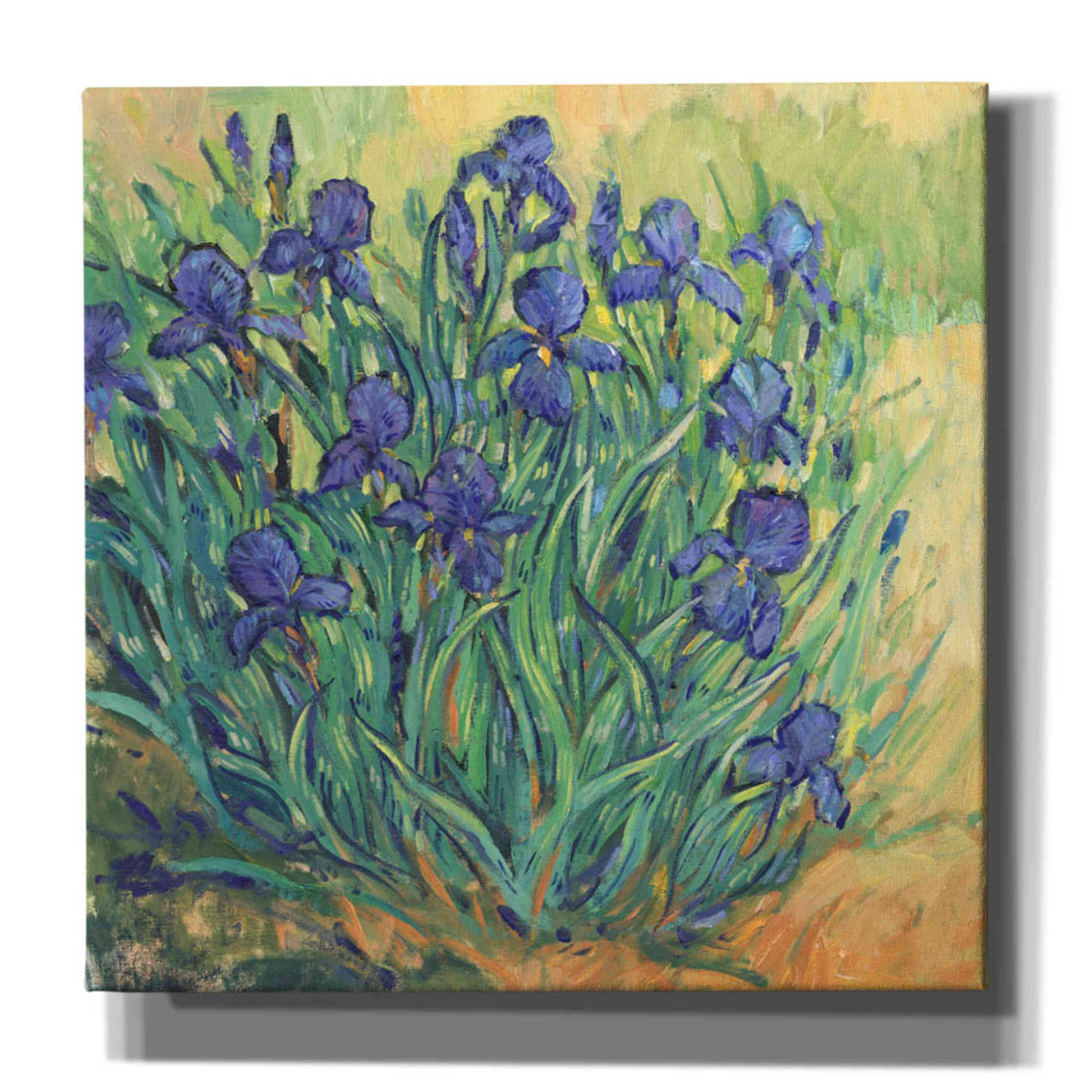 'Irises in  Bloom II' by Tim O'Toole, Canvas Wall Art