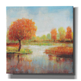 'Lake Reflection I' by Tim O'Toole, Canvas Wall Art