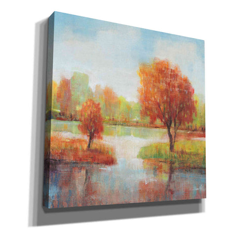 Image of 'Lake Reflections II' by Tim O'Toole, Canvas Wall Art