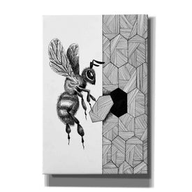 'Escher Bee ' by Avery Multer, Canvas Wall Art