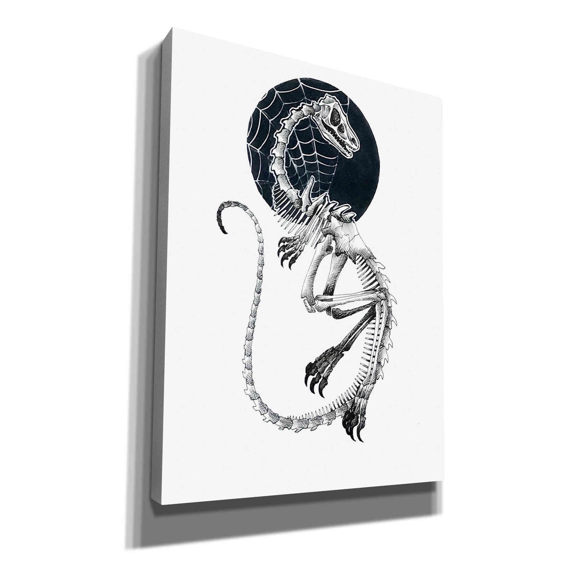 'Skeletal Velociraptor ' by Avery Multer, Canvas Wall Art