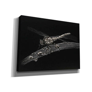 'Dragonfly' by Avery Multer, Canvas Wall Art