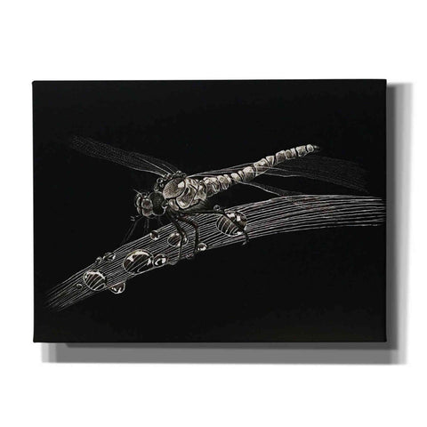 Image of 'Dragonfly' by Avery Multer, Canvas Wall Art