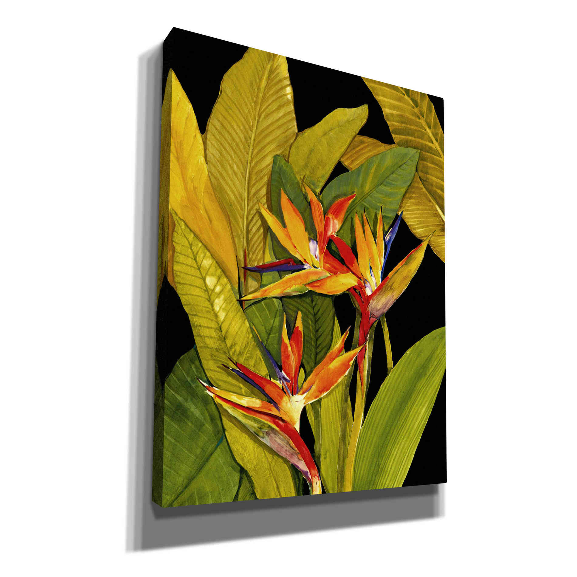 'Dramatic Bird of Paradise' by Tim O'Toole, Canvas Wall Art