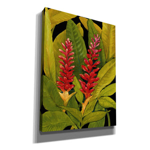 'Dramatic Red Ginger' by Tim O'Toole, Canvas Wall Art
