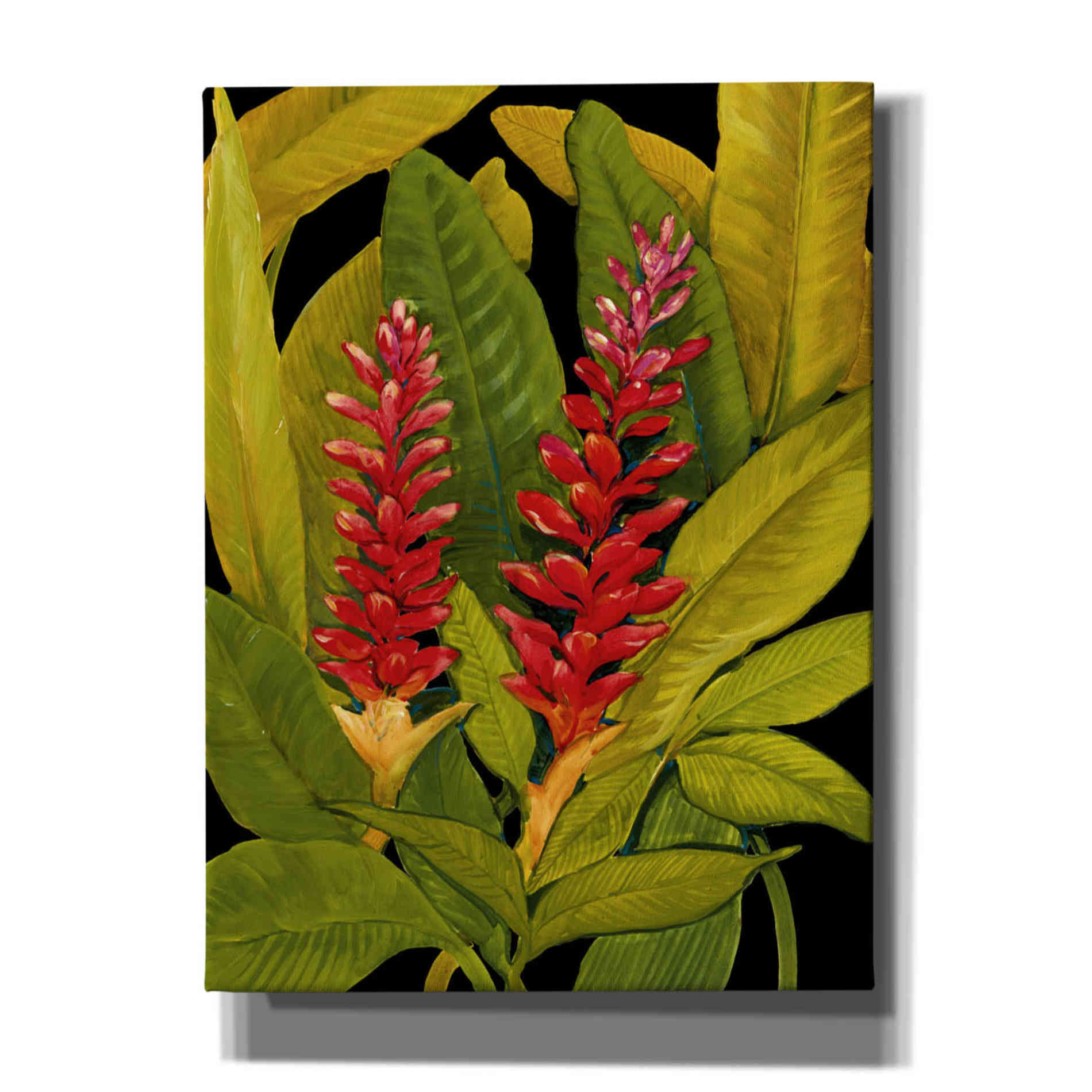'Dramatic Red Ginger' by Tim O'Toole, Canvas Wall Art