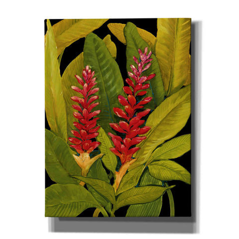Image of 'Dramatic Red Ginger' by Tim O'Toole, Canvas Wall Art