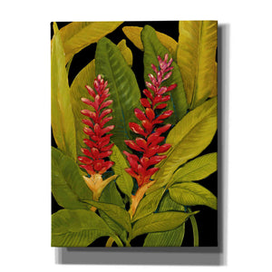 'Dramatic Red Ginger' by Tim O'Toole, Canvas Wall Art