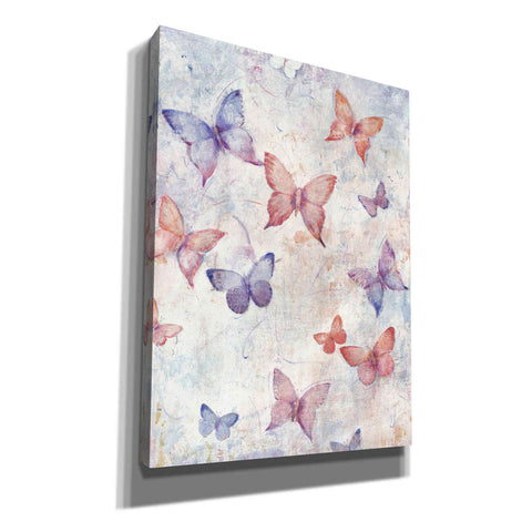 Image of 'In Flight I' by Tim O'Toole, Canvas Wall Art