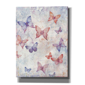 'In Flight I' by Tim O'Toole, Canvas Wall Art