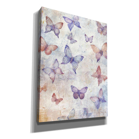 Image of 'In Flight II' by Tim O'Toole, Canvas Wall Art