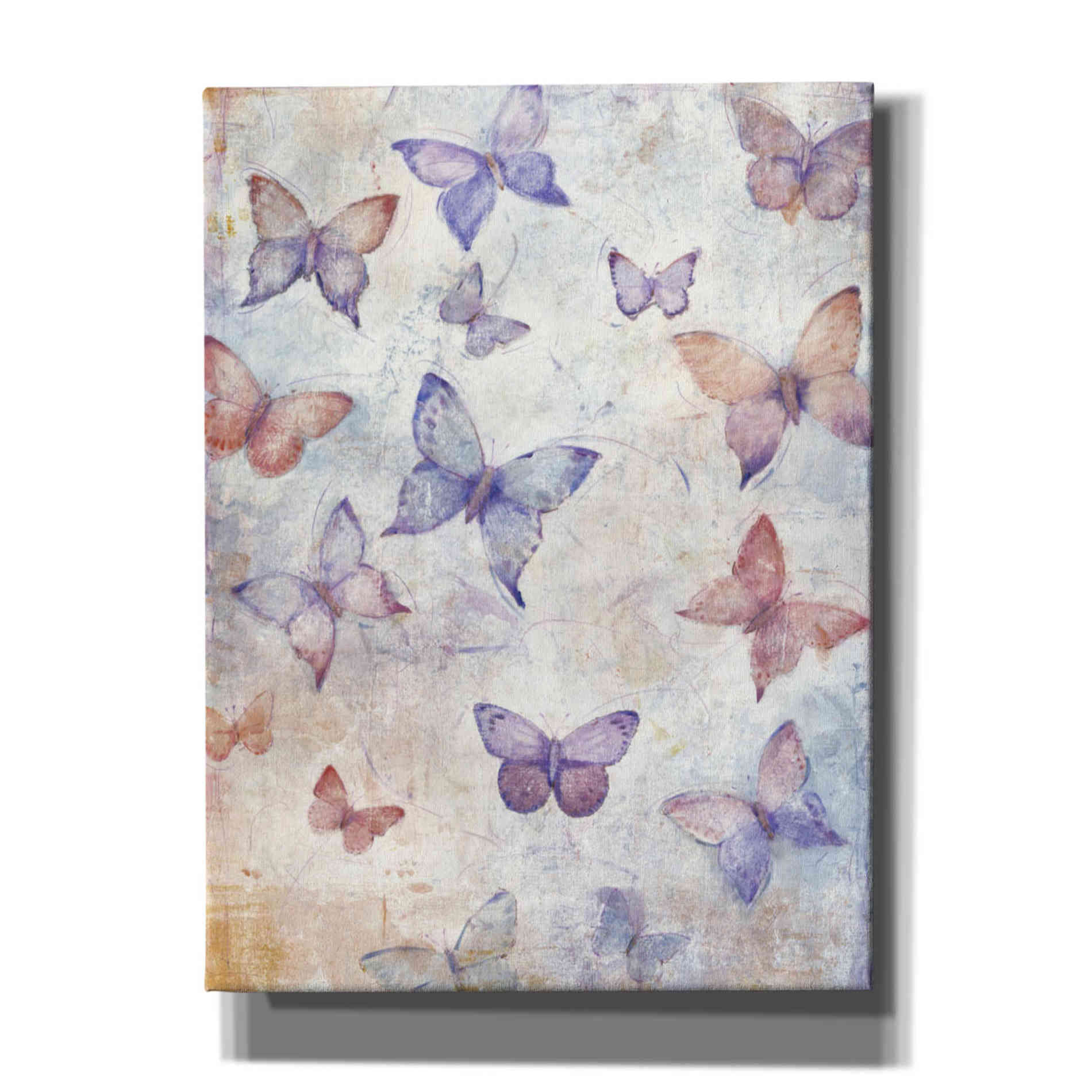 'In Flight II' by Tim O'Toole, Canvas Wall Art