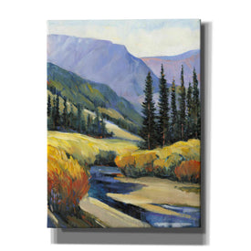 'Purple Mountain Majesty I' by Tim O'Toole, Canvas Wall Art