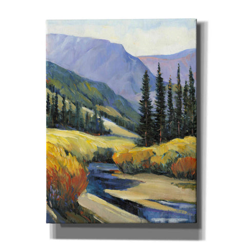 Image of 'Purple Mountain Majesty I' by Tim O'Toole, Canvas Wall Art