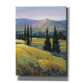 'Purple Mountain Majesty II' by Tim O'Toole, Canvas Wall Art