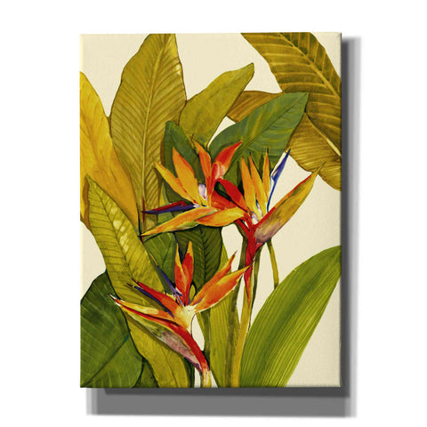 Image of 'Tropical Bird of Paradise' by Tim O'Toole, Canvas Wall Art