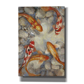 'Vibrant Koi I' by Tim O'Toole, Canvas Wall Art