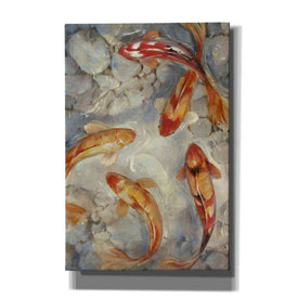 'Vibrant Koi II' by Tim O'Toole, Canvas Wall Art