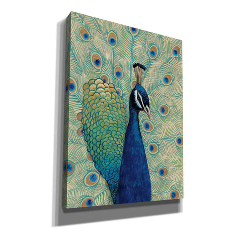 Image of 'Blue Peacock I' by Tim O'Toole, Canvas Wall Art