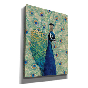 'Blue Peacock I' by Tim O'Toole, Canvas Wall Art