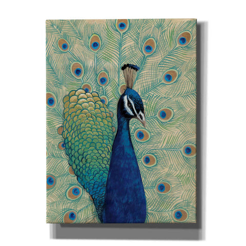 Image of 'Blue Peacock I' by Tim O'Toole, Canvas Wall Art