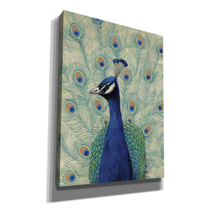 'Blue Peacock II' by Tim O'Toole, Canvas Wall Art