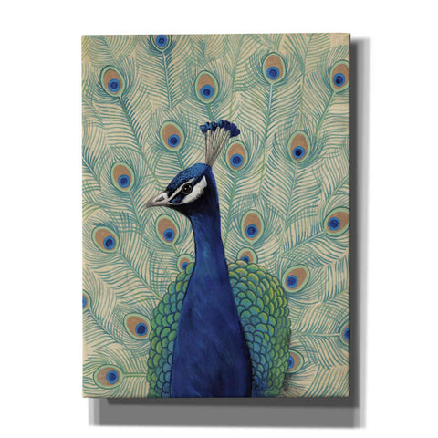 Image of 'Blue Peacock II' by Tim O'Toole, Canvas Wall Art