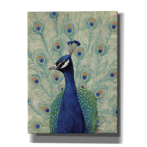 'Blue Peacock II' by Tim O'Toole, Canvas Wall Art